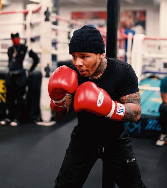 Winning Boxing Gloves