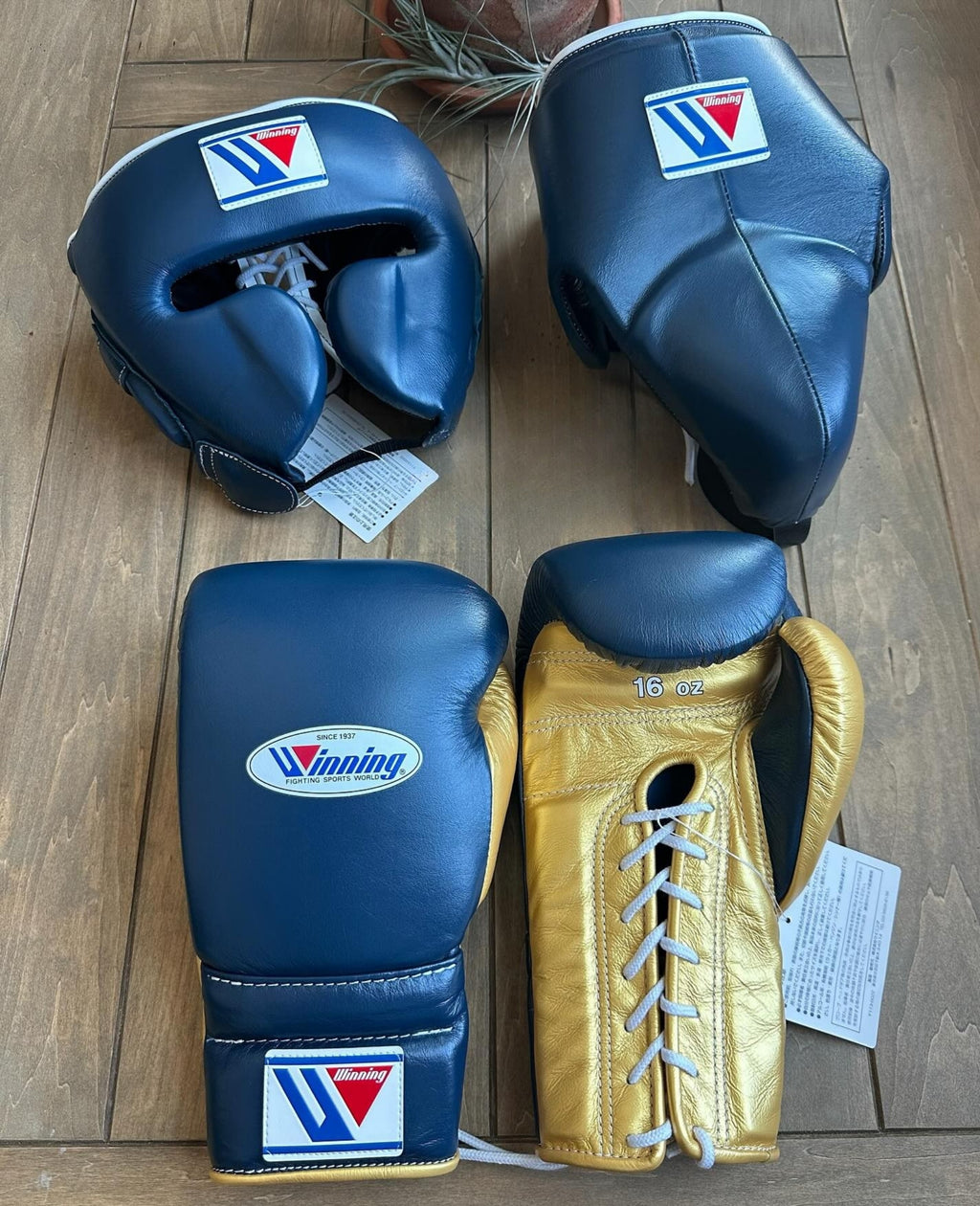 Affordable Winning Boxing set Blue Gold