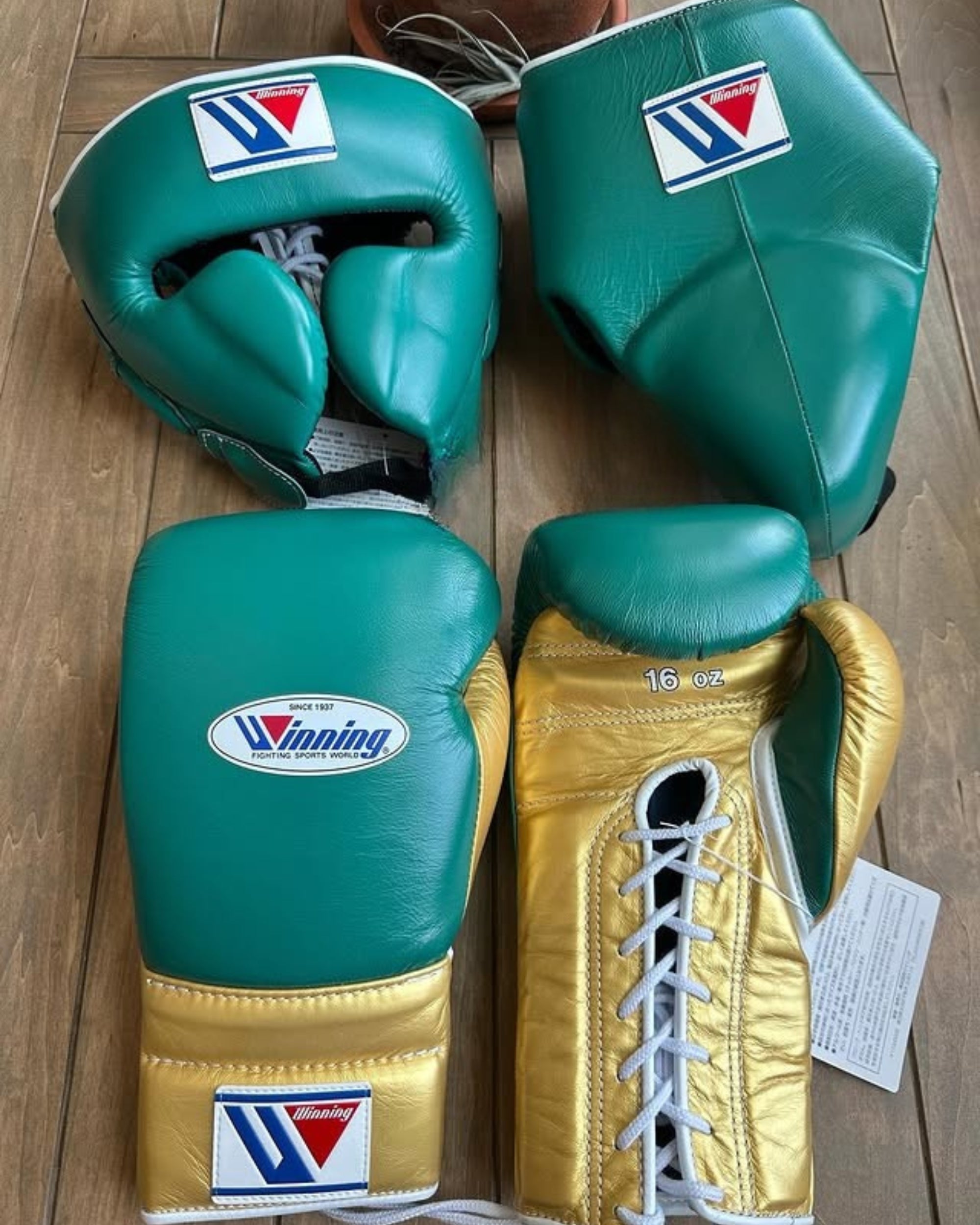 Winning Training Boxing set Green Gold Nose & Groin Protection