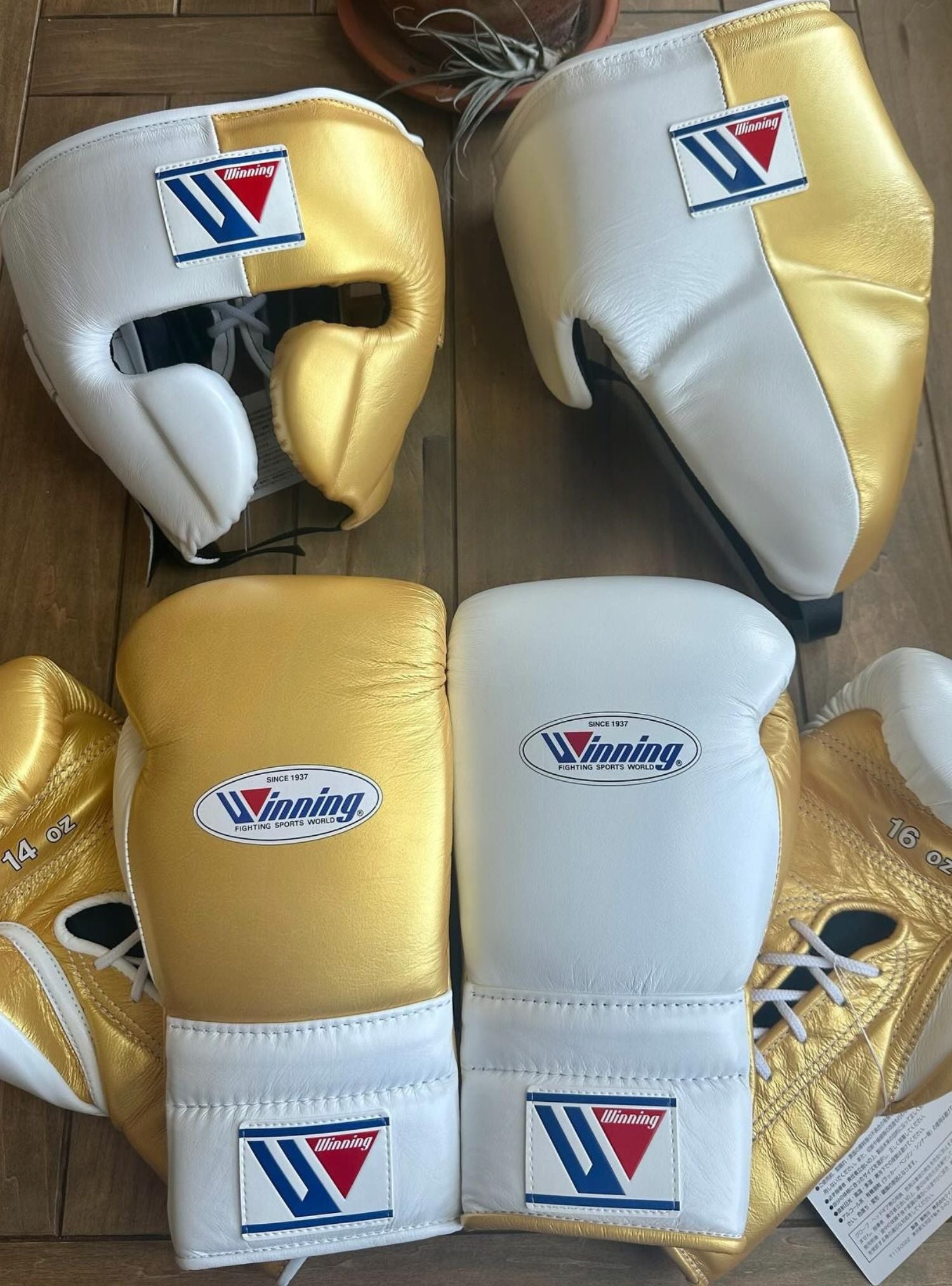 Winning boxing gloves set White Gold Leather